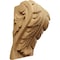 Ekena Millwork 3 3/4"W x 3 1/4"D x 6"H Large Acanthus Leaf Block Corbel, Cherry CORW04X03X06BACH - alternate 1